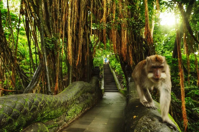 a monkey sitting on an ornate sculpture in ubuds lush monkey forest 1