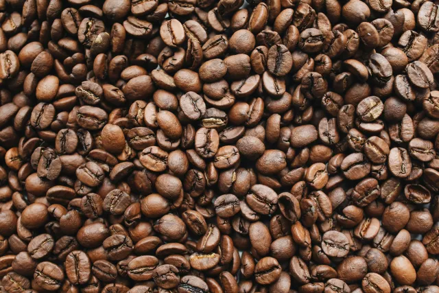 luwak coffee drink